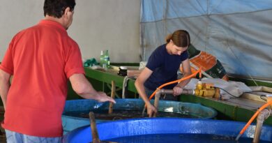 Feira do Peixe Vivo iniciará às 7h45 da manhã desta quinta-feira (08)