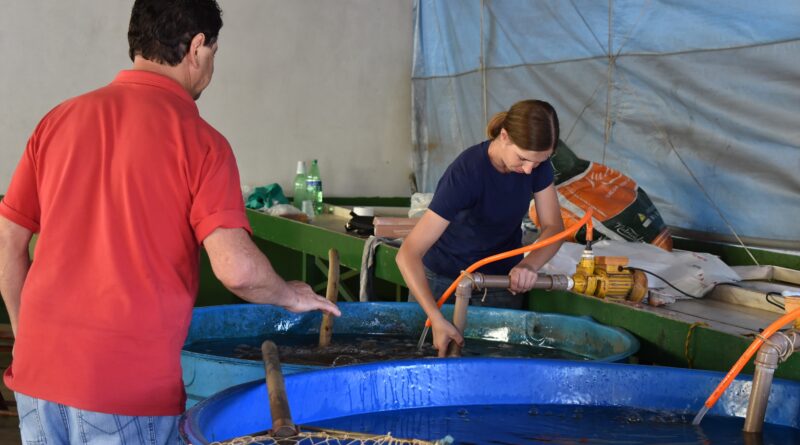 Feira do Peixe Vivo iniciará às 7h45 da manhã desta quinta-feira (08)