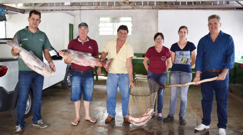 O Prefeito Lírio Dagort e o Engenheiro Agrônomo da Secretaria Municipal de Agricultura e Meio Ambiente, Volnei Dervanoski, visitaram a Feira