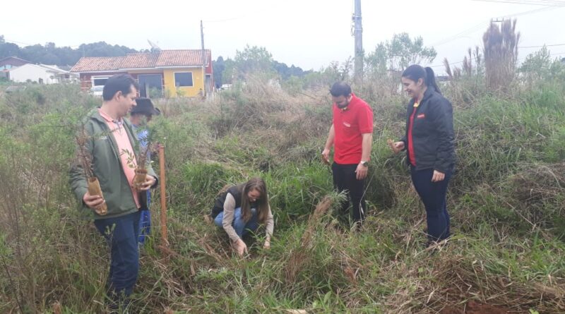 Mudas começaram a ser plantadas nesta segunda-feira