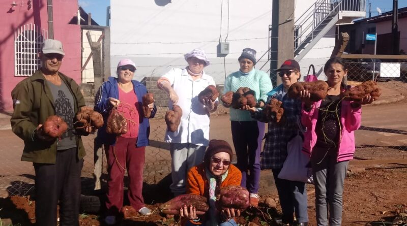 Famílias beneficiárias aproveitaram a colheita para abastecer o lar com verduras e legumes frescos